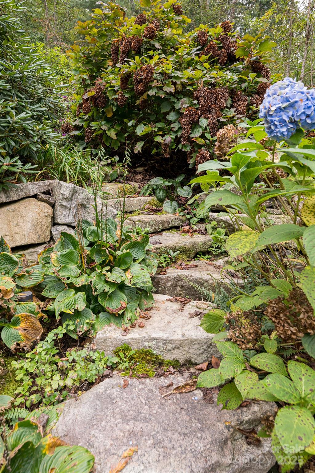 135 Spooks Branch Road Asheville NC 28804