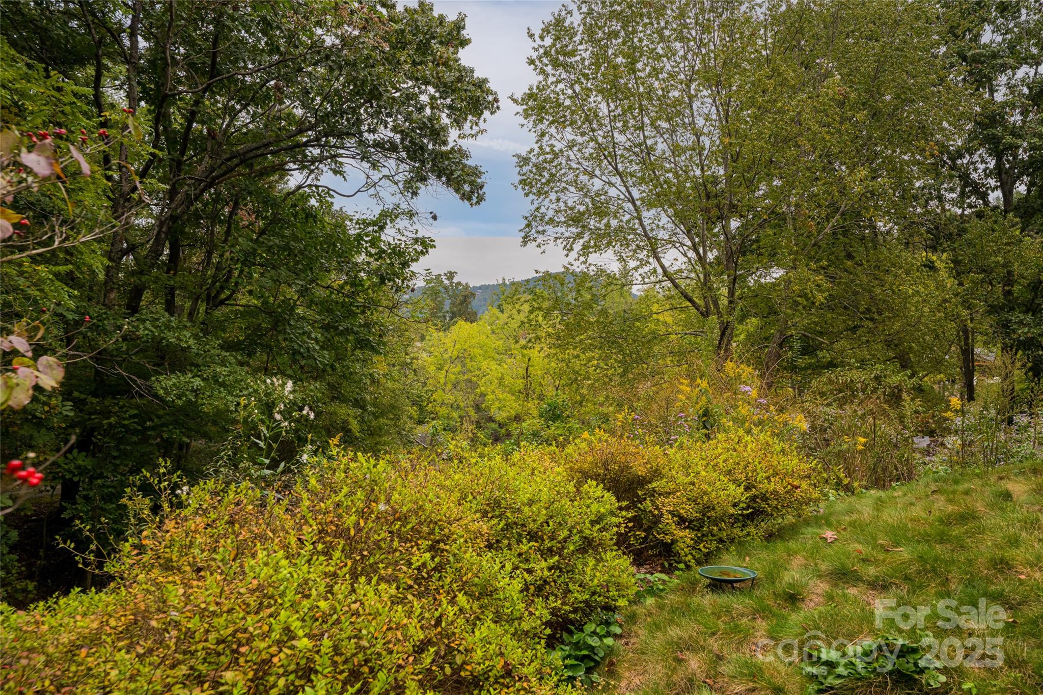 135 Spooks Branch Road Asheville NC 28804