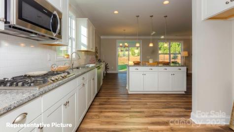 113 Asmodean Lane Troutman NC 28166