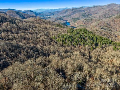 298 Hedgewood Drive Tuckasegee NC 28783