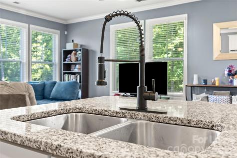 1095 Chicory Trace Lake Wylie SC 29710