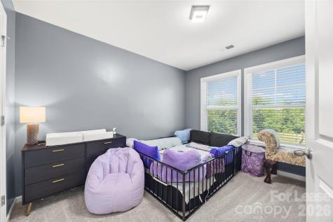 1095 Chicory Trace Lake Wylie SC 29710