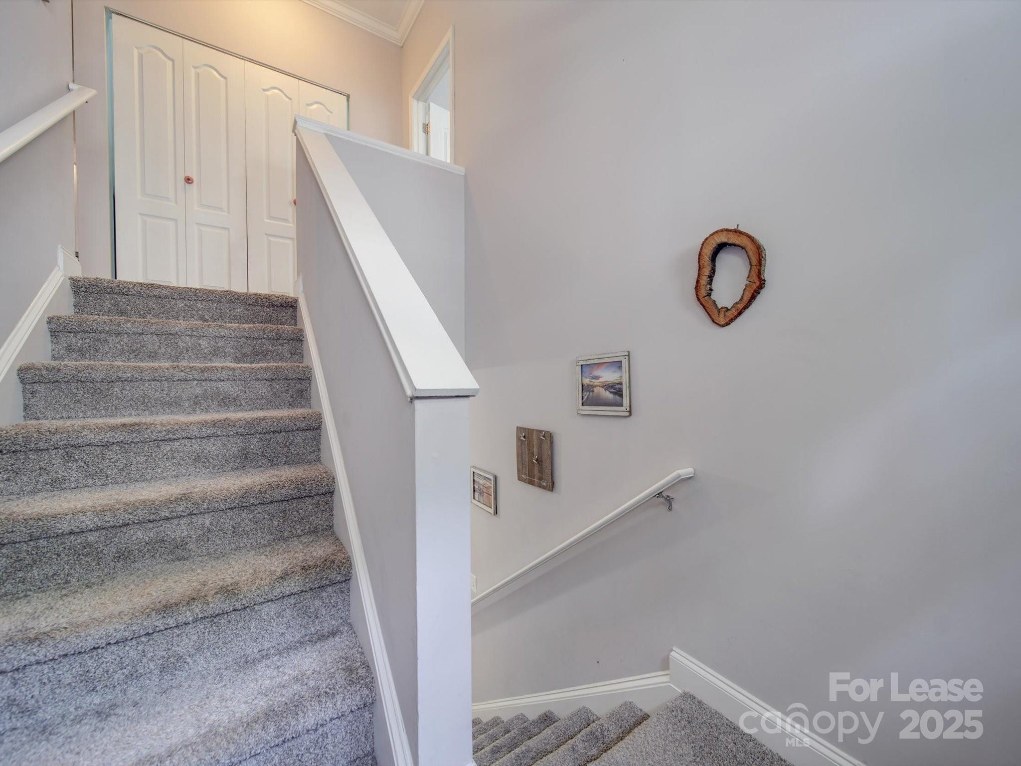 1723 Burgin Street Charlotte NC 28205
