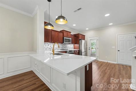 20017 Metaphor Mews Davidson NC 28026