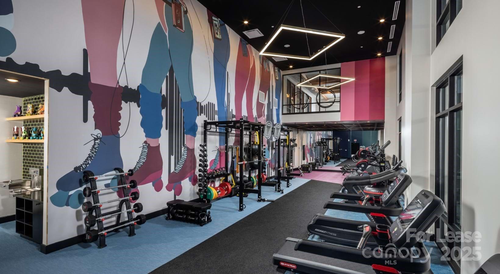 1015 N Alexander Street Charlotte NC 28206