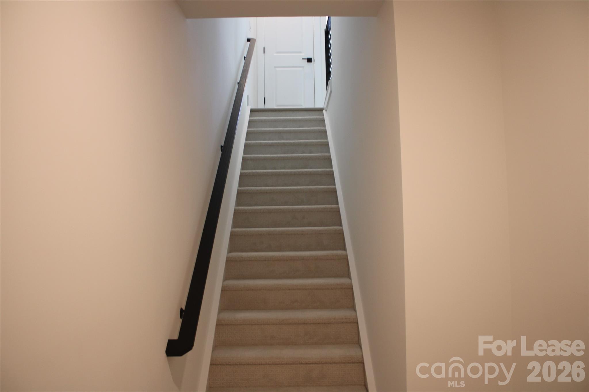 1340 Hamilton Street Charlotte NC 28206
