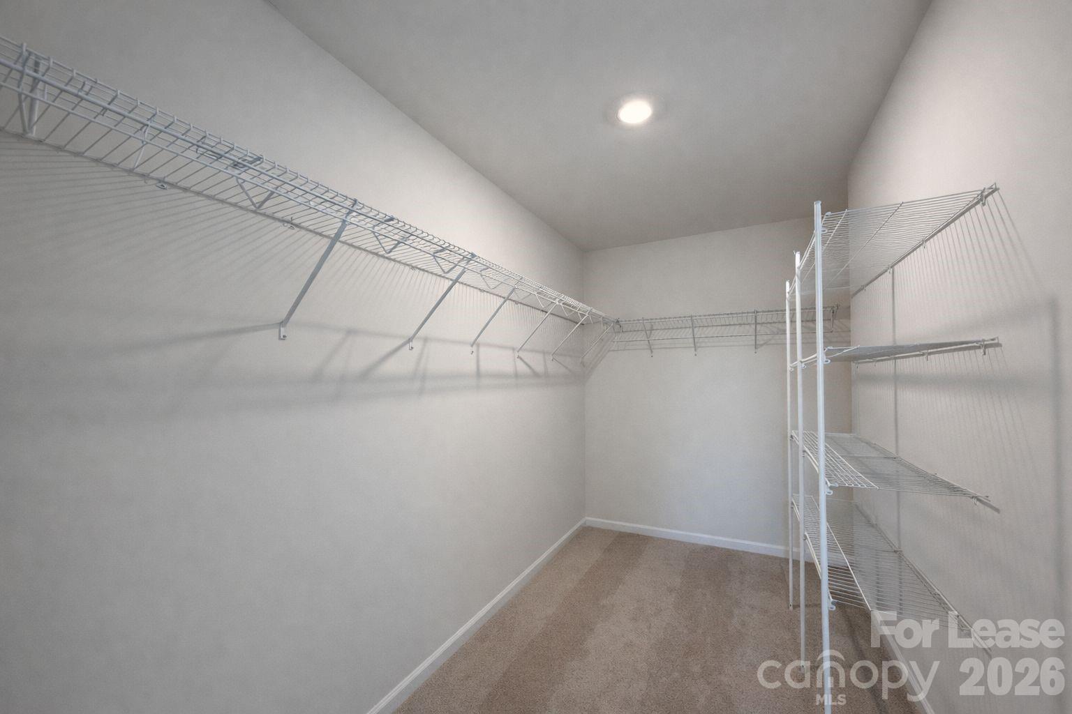 1260 Scarlet Firethorne Avenue Huntersville NC 28028
