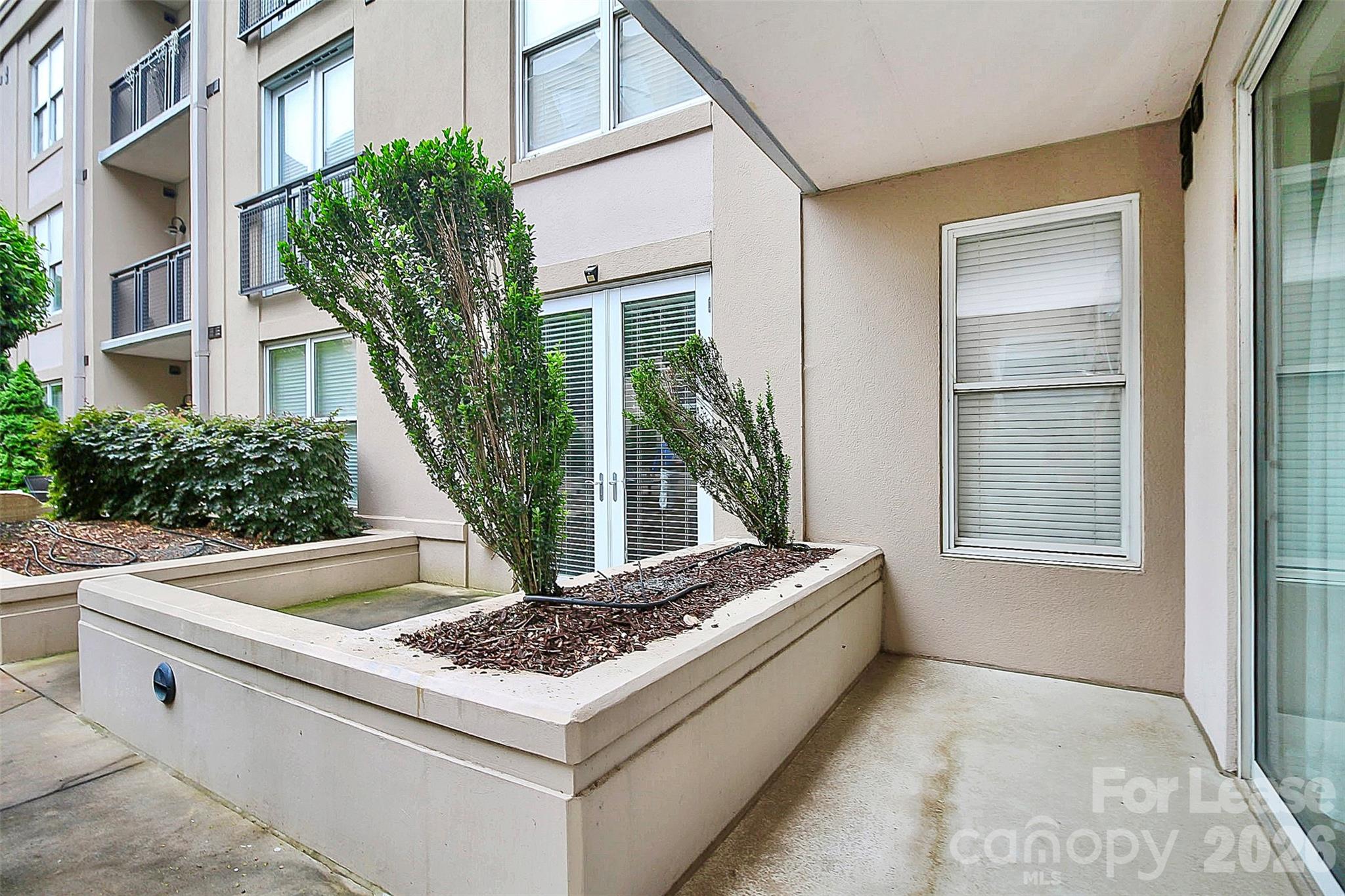 1315 East Boulevard Charlotte NC 28203