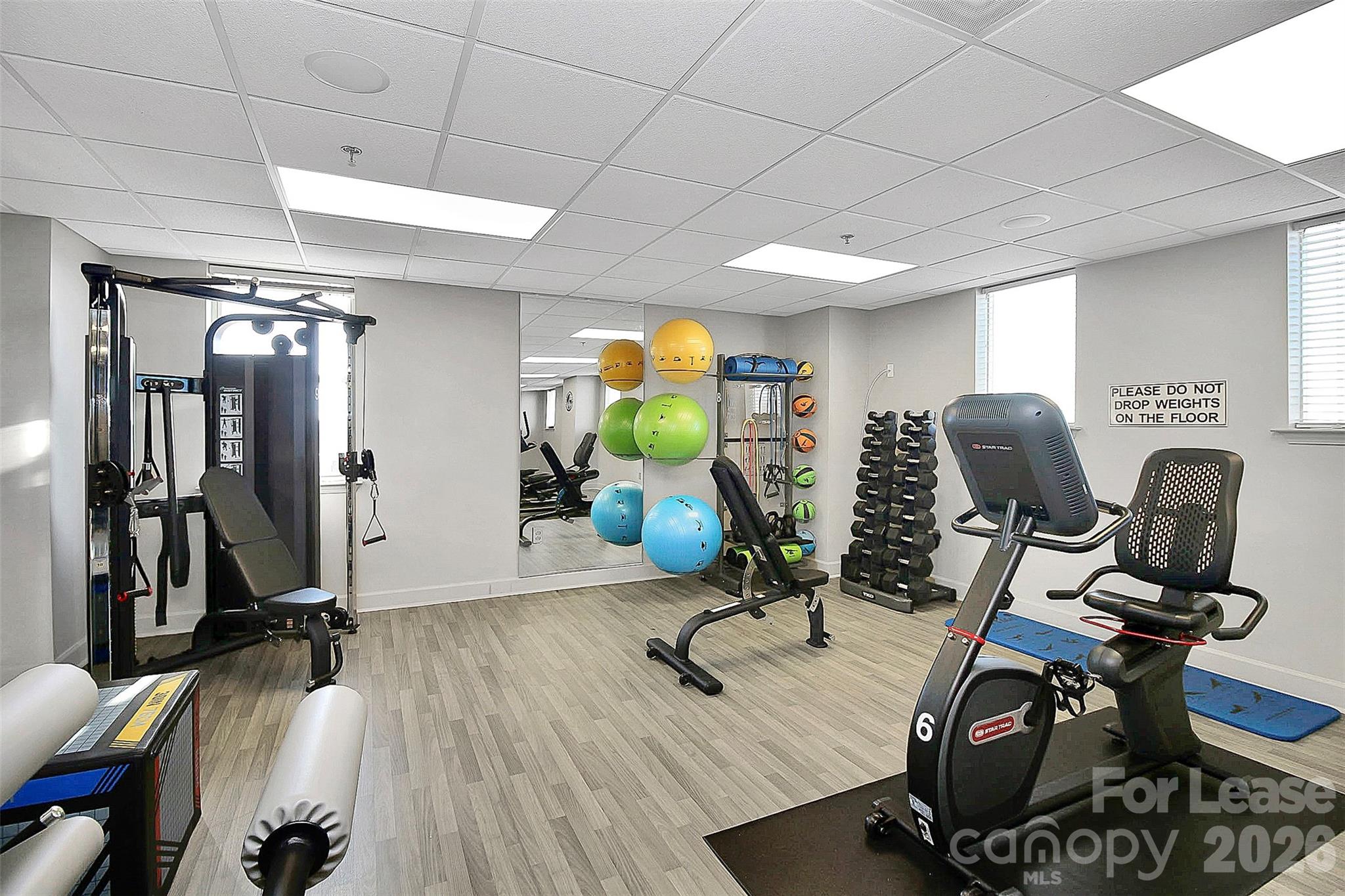 1315 East Boulevard Charlotte NC 28203