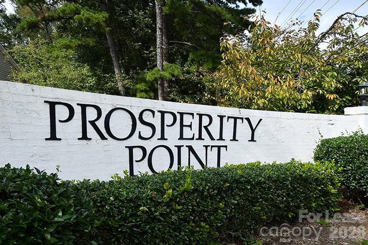 10014 Prosperity Point Lane Charlotte NC 28269