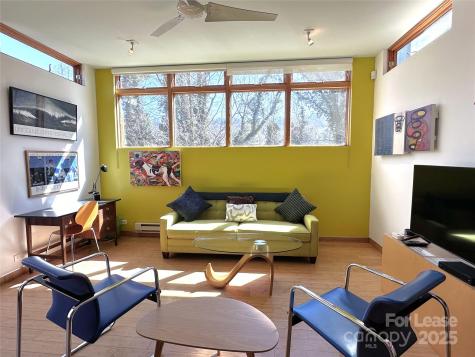 130C Biltmore Avenue Asheville NC 28801