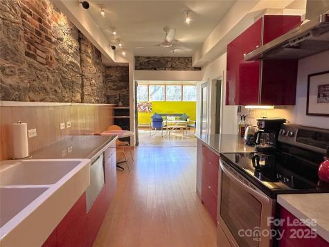 130C Biltmore Avenue Asheville NC 28801
