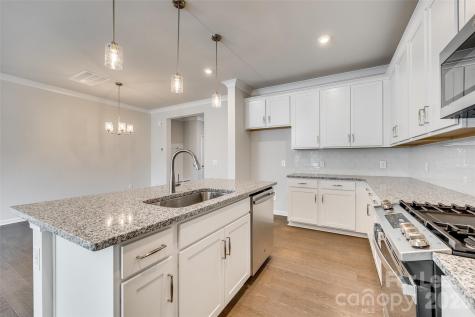 229 Brooks Springs Drive Fort Mill SC 29708