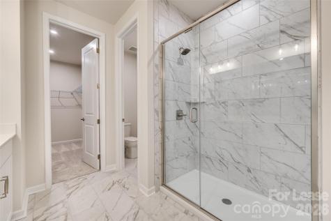 229 Brooks Springs Drive Fort Mill SC 29708