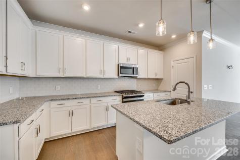 229 Brooks Springs Drive Fort Mill SC 29708