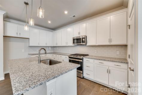 229 Brooks Springs Drive Fort Mill SC 29708