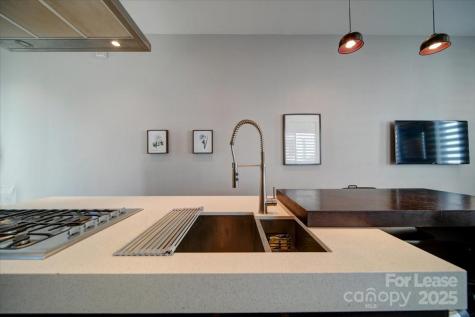 329 Viburnum Way Court Charlotte NC 28208