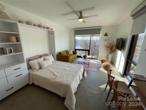 20 Artful Way Asheville NC 28801