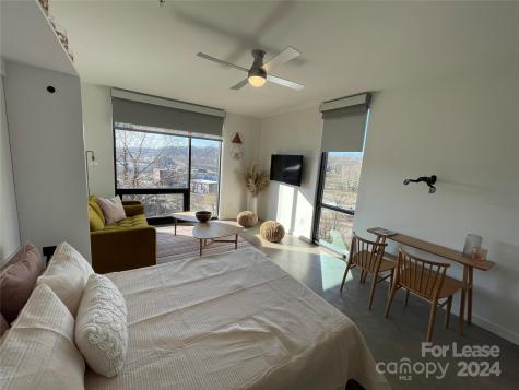 20 Artful Way Asheville NC 28801