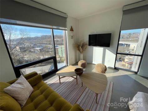 20 Artful Way Asheville NC 28801