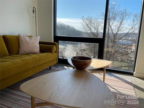 20 Artful Way Asheville NC 28801