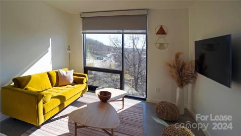 20 Artful Way Asheville NC 28801