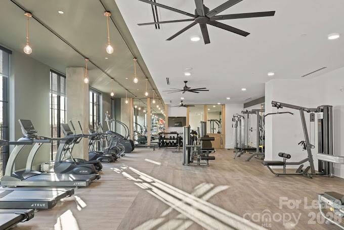536 W Tremont Avenue Charlotte NC 28203