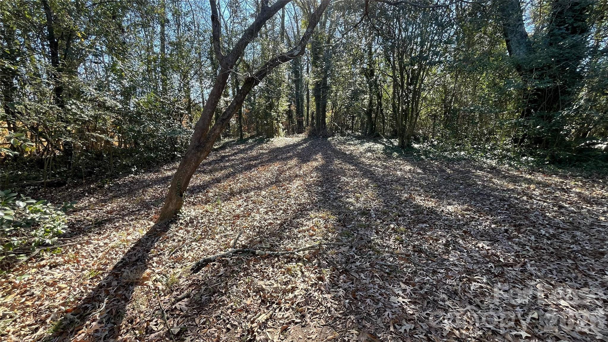 2621 Dr Carver Road Charlotte NC 28208