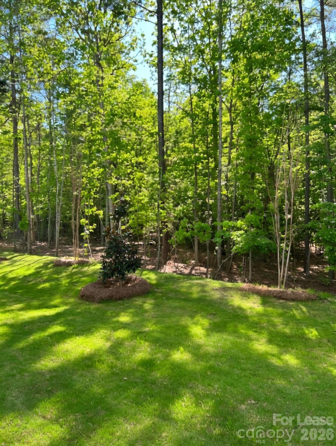 1115 Bandon Drive Waxhaw NC 28173
