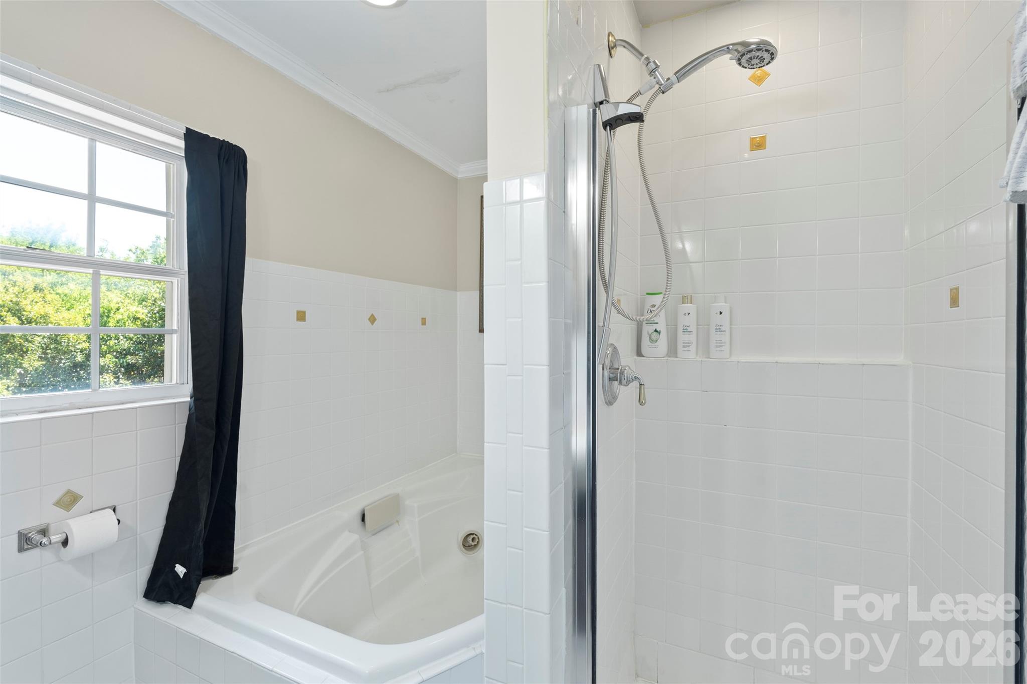 703 S Summit Avenue Charlotte NC 28208