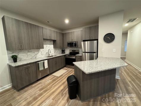 226 South Elm Street Pageland SC 29728