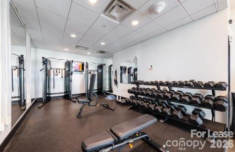 215 N Pine Street Charlotte NC 28202