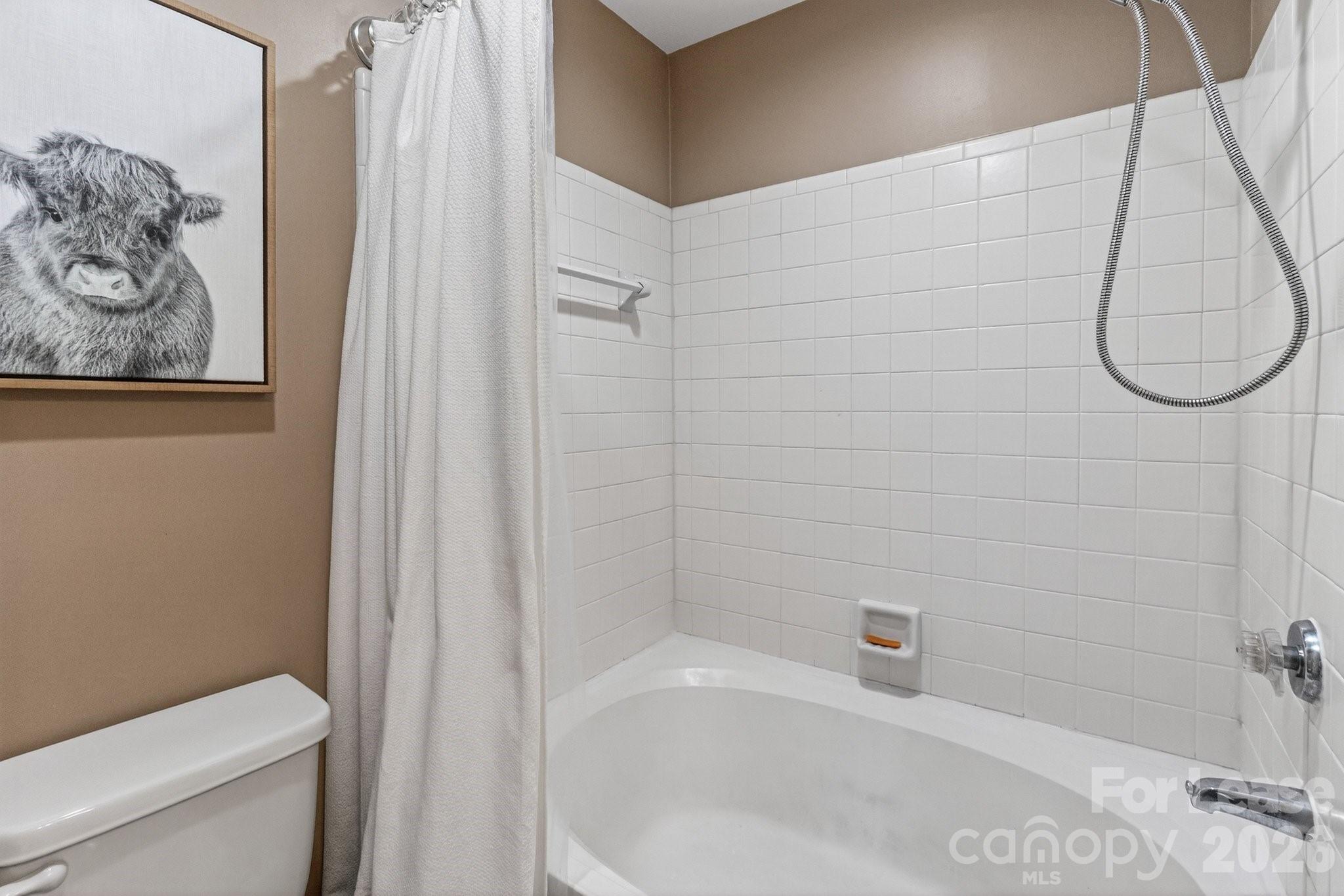 18695 Vineyard Point Lane Cornelius NC 28031