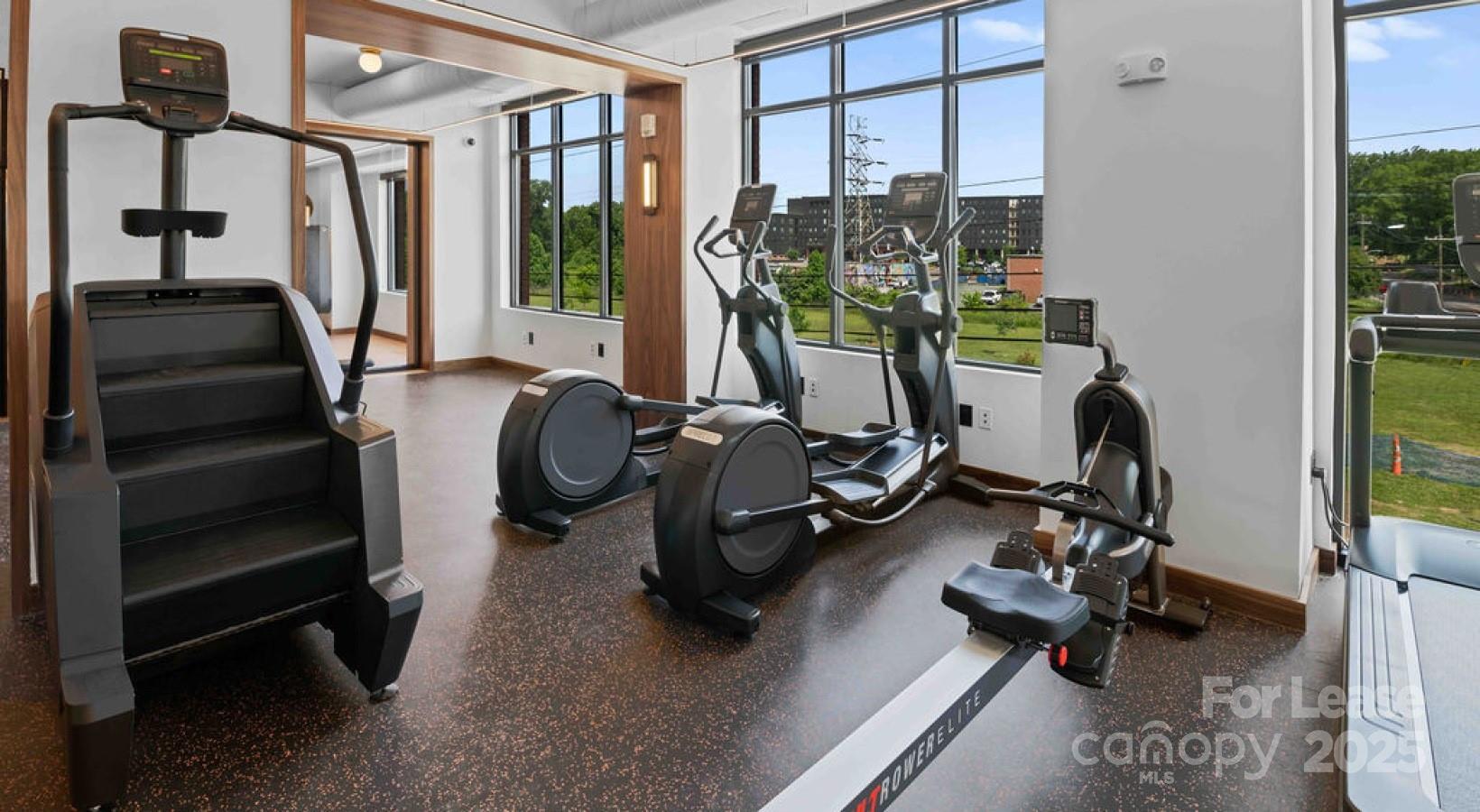300 E 36th Street Charlotte NC 28206