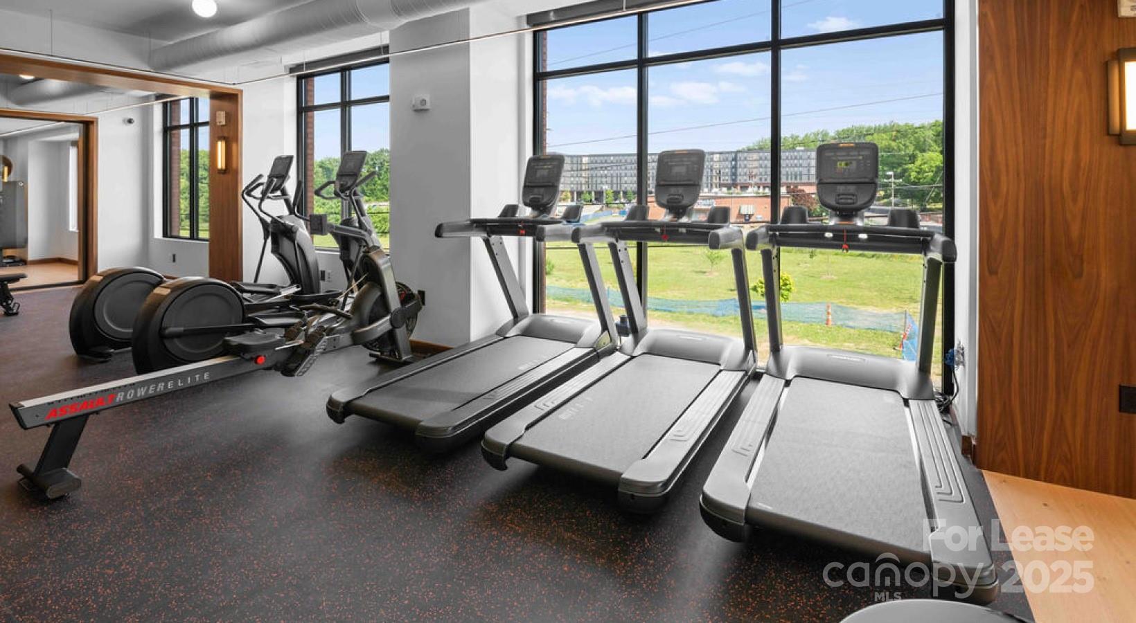 300 E 36th Street Charlotte NC 28206