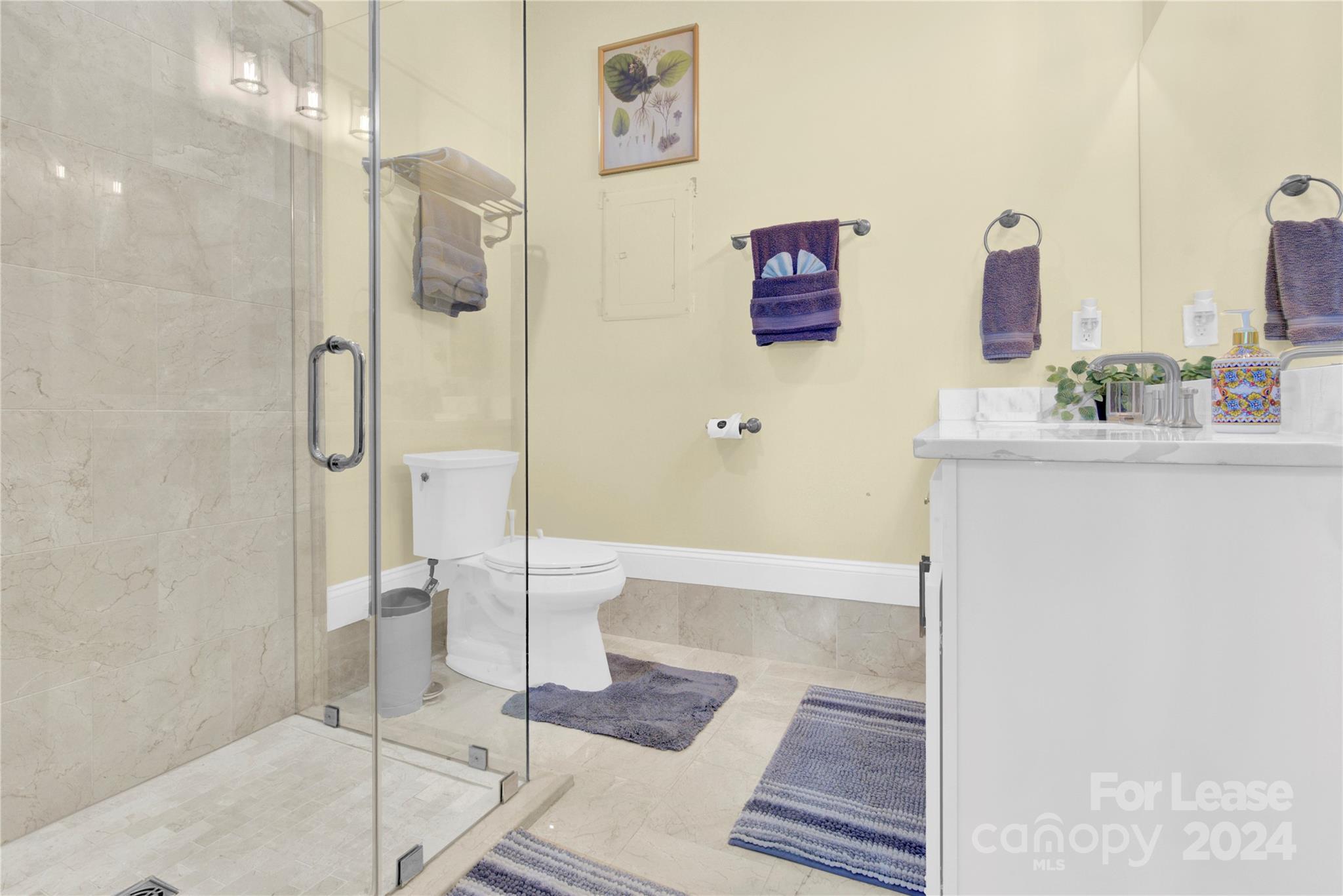 11116 Vista Canyon Drive Charlotte NC 28226