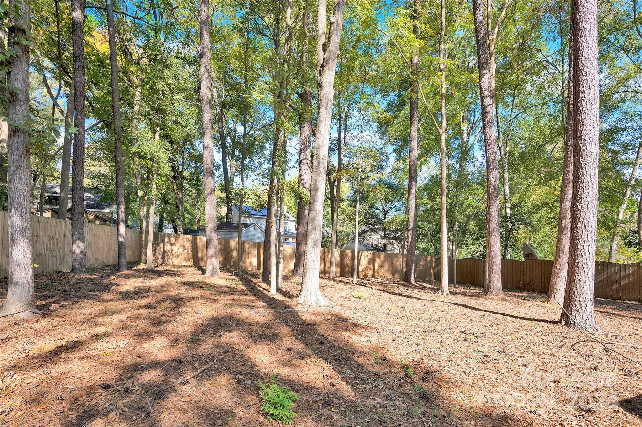 11116 Vista Canyon Drive Charlotte NC 28226