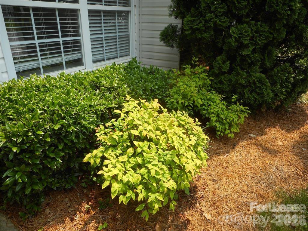 2472 Ryerson Court Charlotte NC 28213