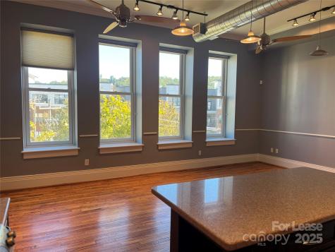 52 Biltmore Avenue Asheville NC 28801