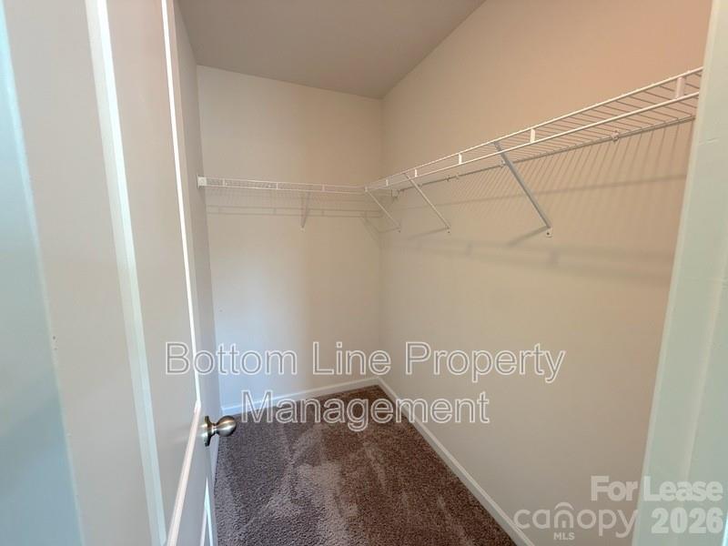 347 Carolina Hemlock Drive Charlotte NC 28097