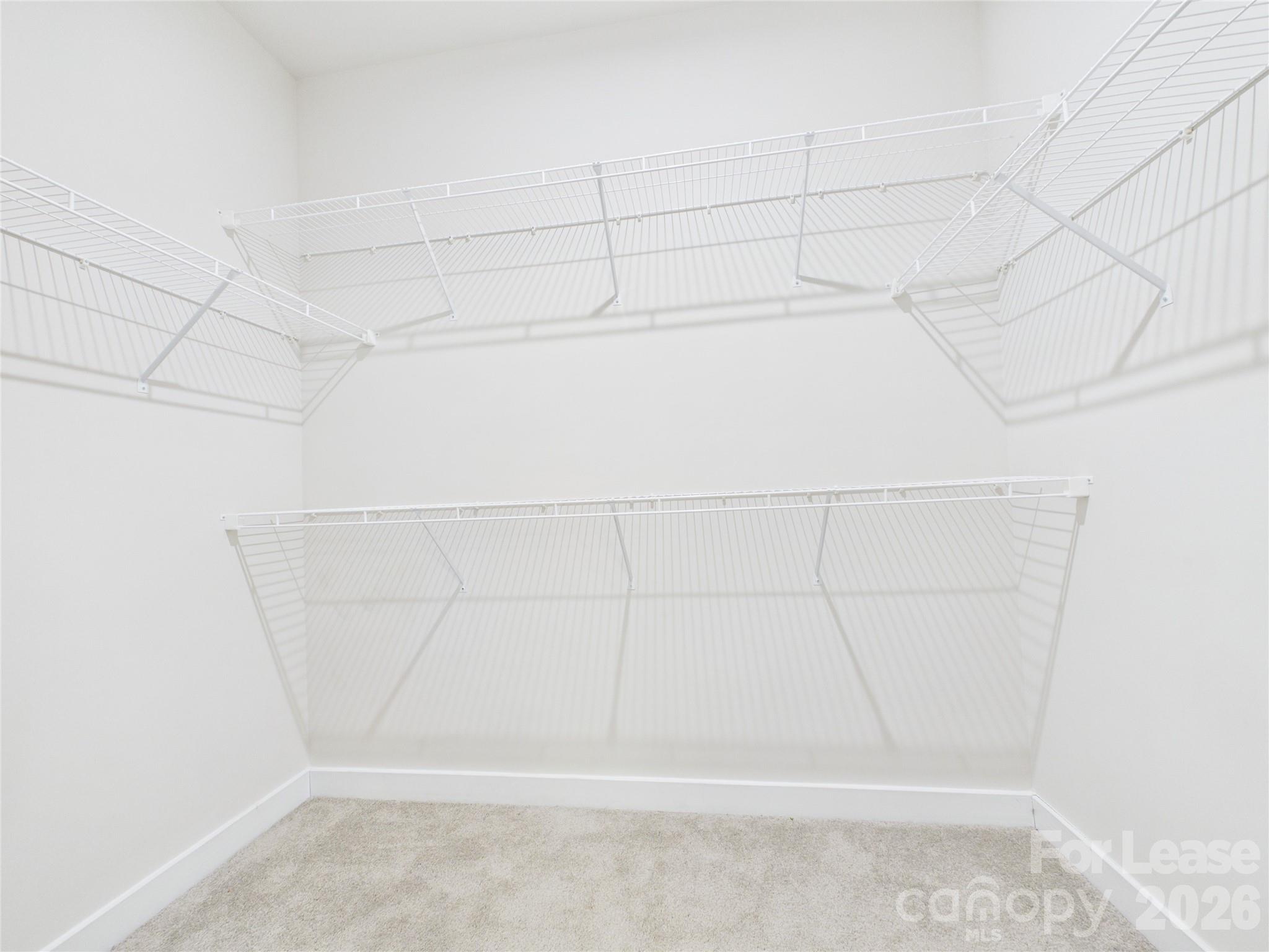 3131 Coquina Lane Charlotte NC 28206