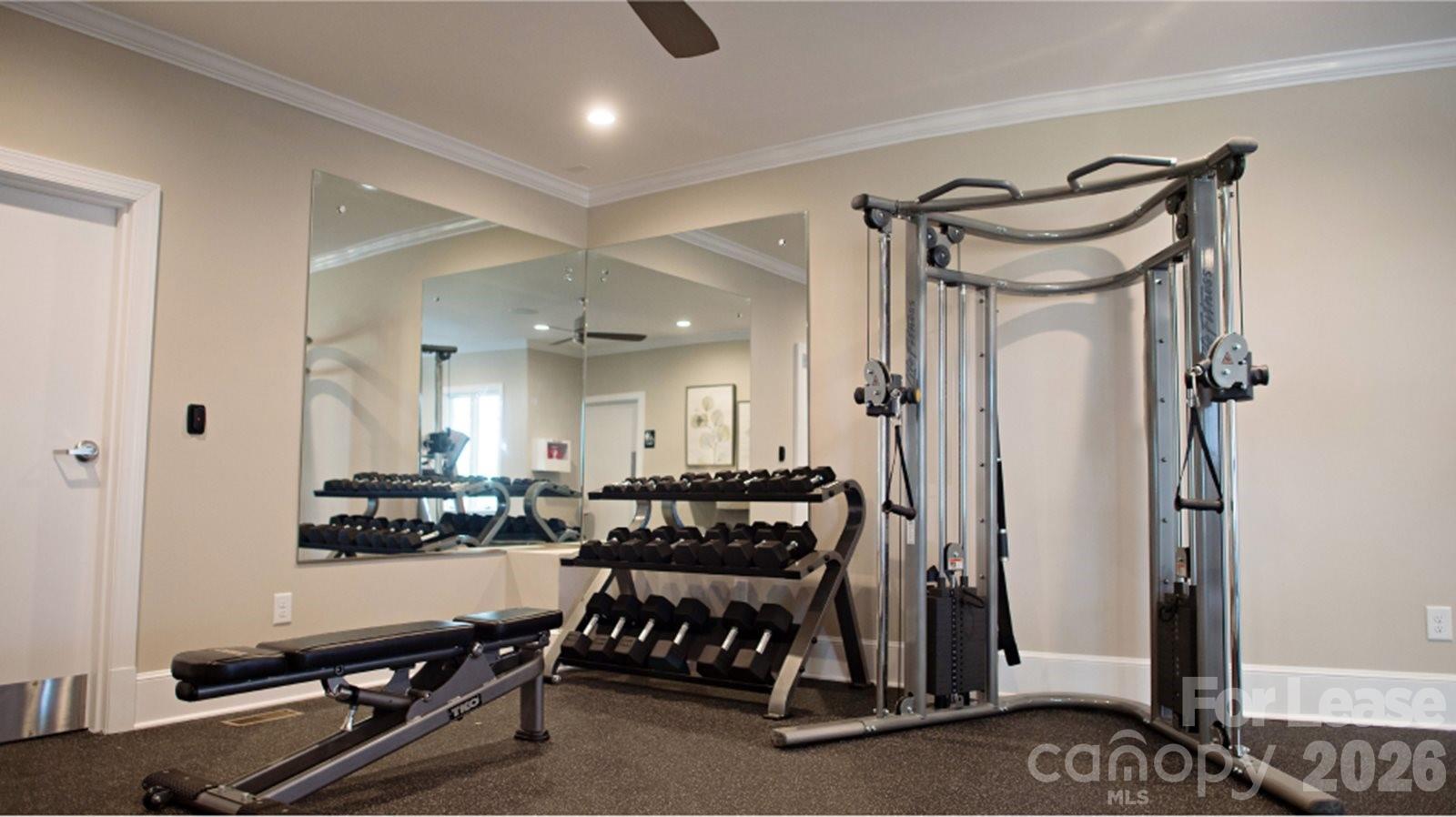 13516 Napoleon Drive Charlotte NC 28273