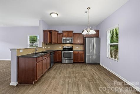6056 Shamrock Green Drive Clover SC 29710