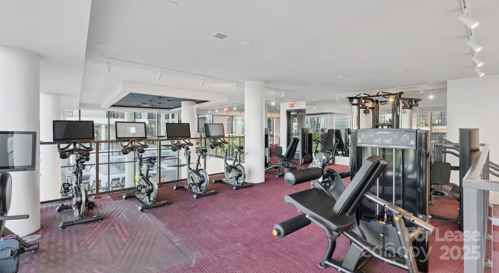 1007 S Mint Street Charlotte NC 28203