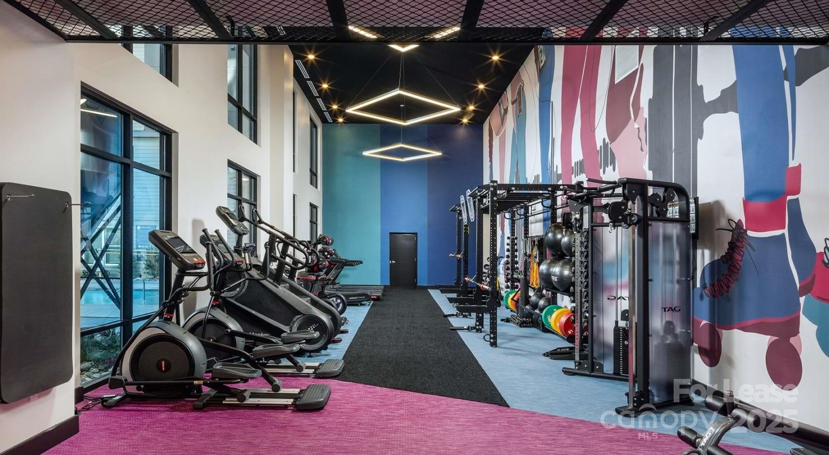 1015 N Alexander Street Charlotte NC 28206