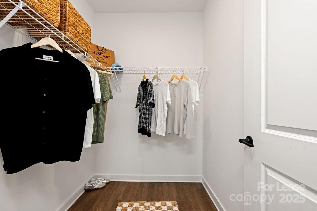 4101 Raleigh Street Charlotte NC 28206