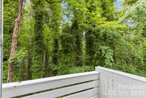 25033 Molokai Drive Tega Cay SC 29708