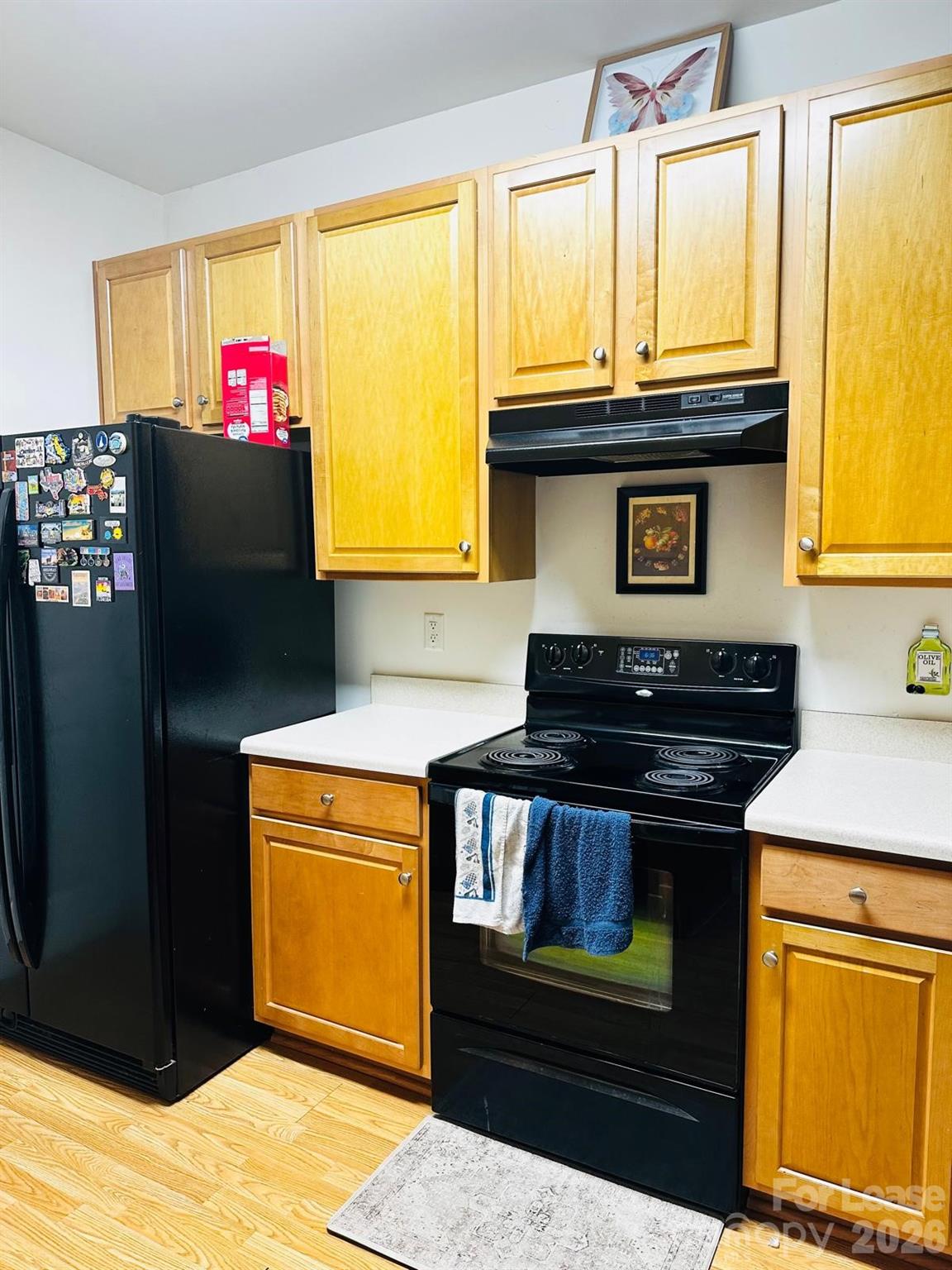 9811 Hyde Glen Court Charlotte NC 28262