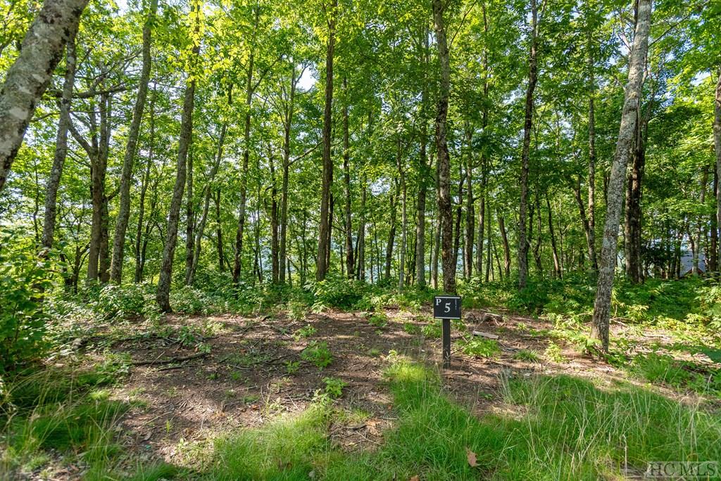 Chinquapin Cashiers NC Land for Sale Silver Creek Real Estate Group