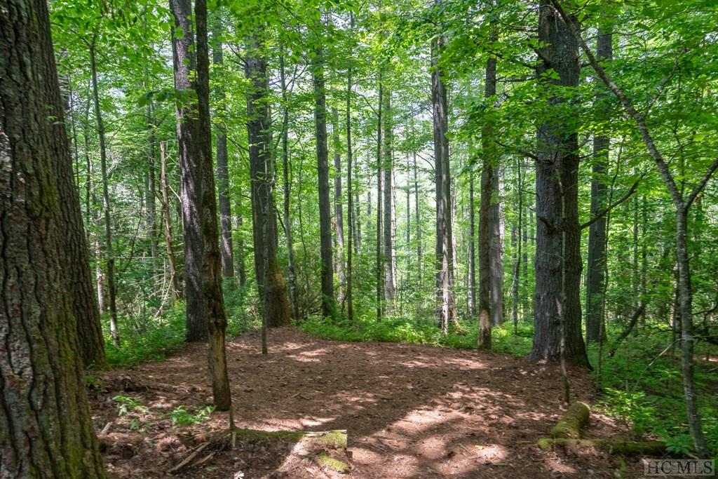 Lonesome Valley Cashiers NC Land for Sale Silver Creek Real Estate